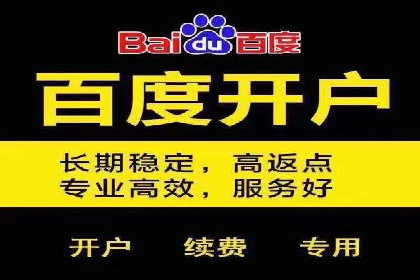 某某sem代运营公司成功案例：提高转化率